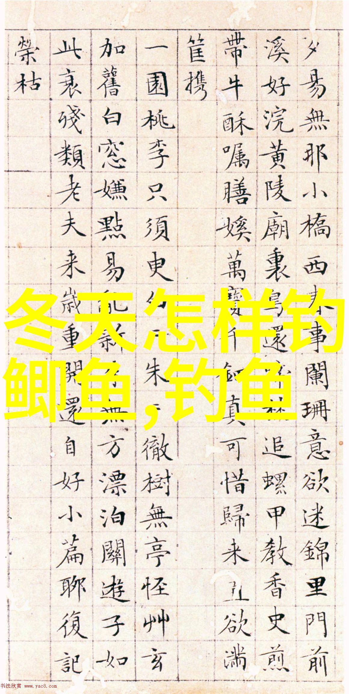 钓鱼红食叫什么