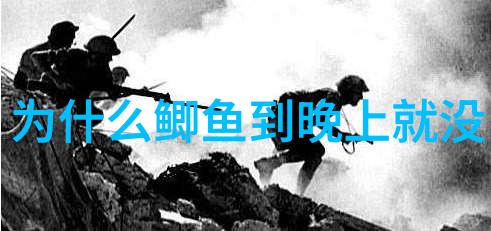 鲫鱼怎样做到浓引淡钓