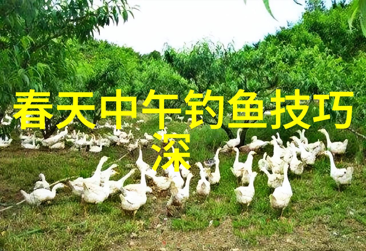 海竿钓鲤鱼最佳饵料