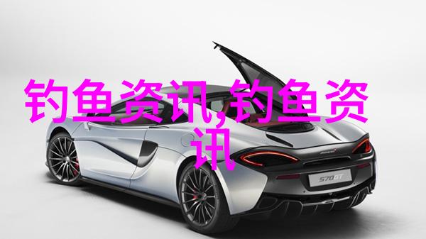 越南巴沙鱼白虾草虾金枪鱼...未来这些产品该怎么卖越南渔博会给你答案